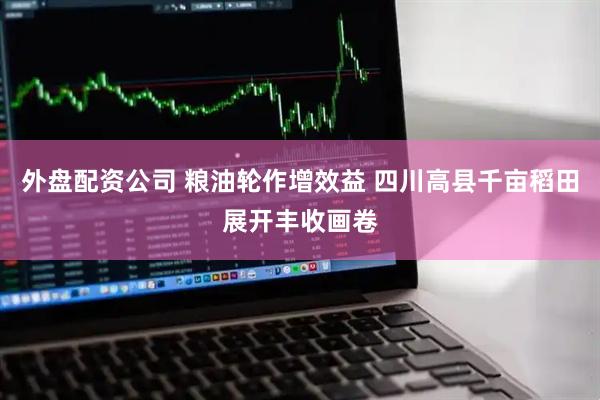外盘配资公司 粮油轮作增效益 四川高县千亩稻田展开丰收画卷