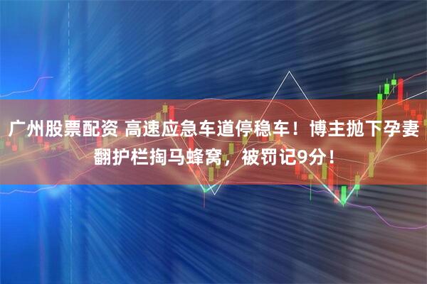 广州股票配资 高速应急车道停稳车！博主抛下孕妻翻护栏掏马蜂窝，被罚记9分！